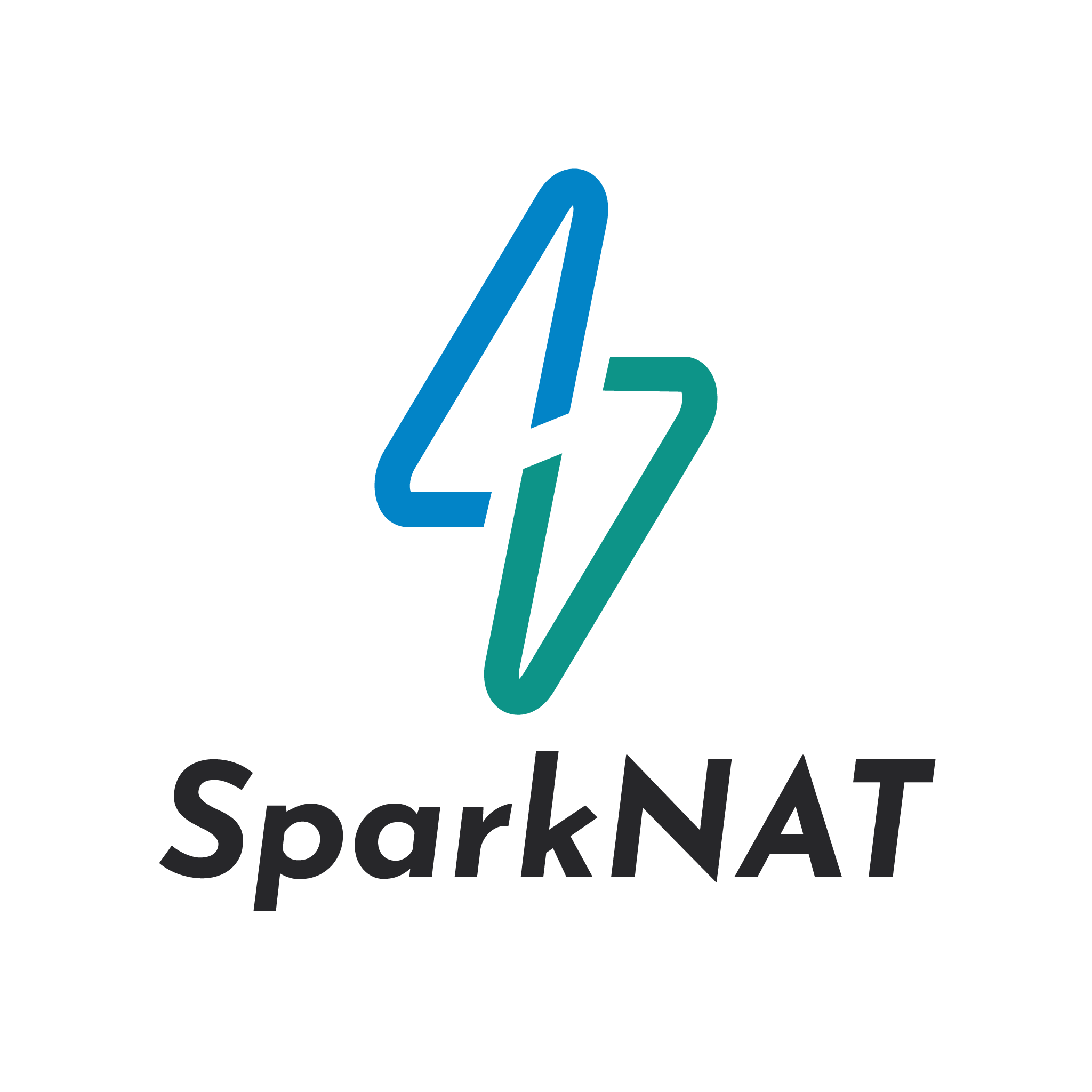 SparkNAT